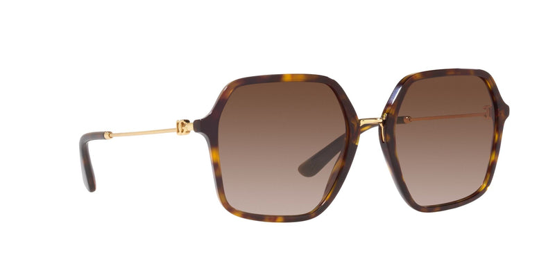 DG4422 502/13 HAVANA/GRADIENT BROWN LENS