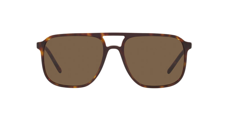 DG4423 502/73 HAVANA/BROWN LENS