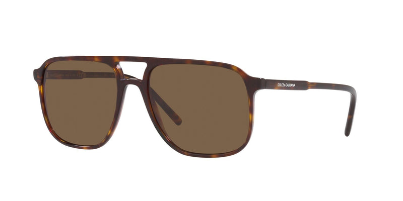 DG4423 502/73 HAVANA/BROWN LENS