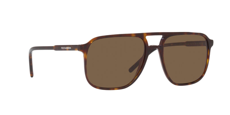 DG4423 502/73 HAVANA/BROWN LENS