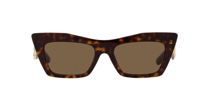 DG4435 502/73 HAVANA/BROWN LENS