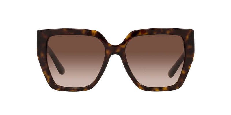 DG4438 502/13 HAVANA/BROWN GRADIENT LENS