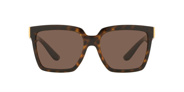 DG6165 502/73 HAVANA/DARK BROWN LENS