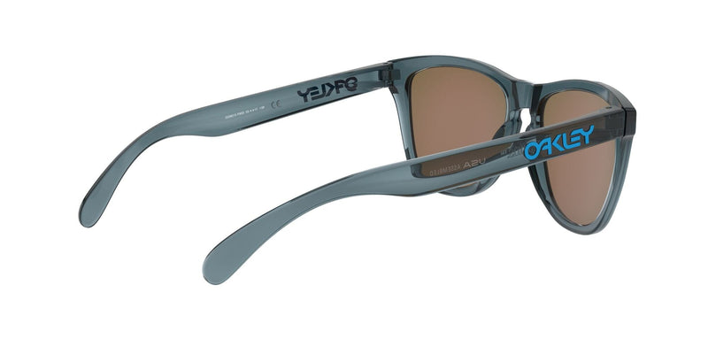 Frogskins 9013F6 crystal black prizm sapphire polarised