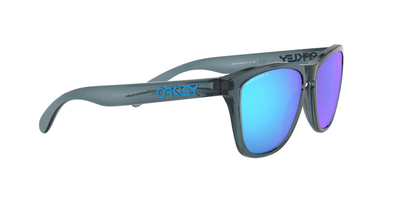 Frogskins 9013F6 crystal black prizm sapphire polarised