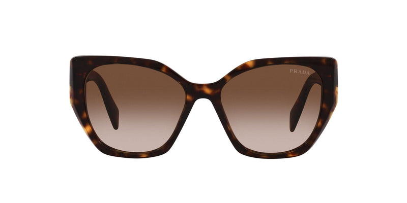 SPR19ZS 2AU6S1 tortoise brown gradient lens