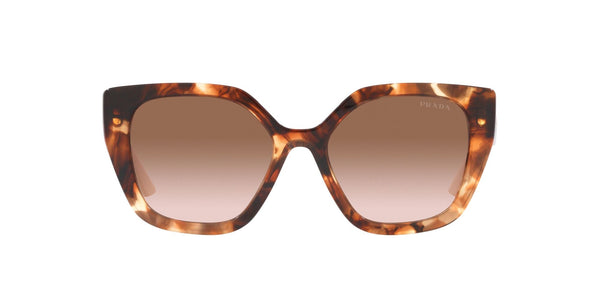 SPR24XS 07R0A6 caramel tortoise