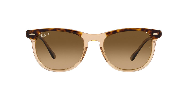 Eagle eye sunglasses australia online