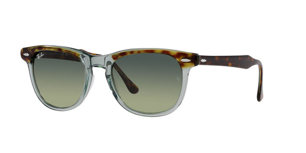 RB2398 1376BH eagle eye havan transparent green/green gradient