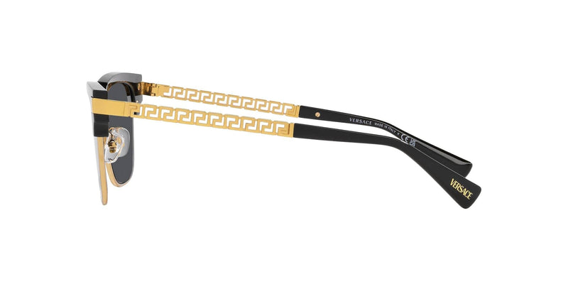 VE4447 GB1/87 black/gold