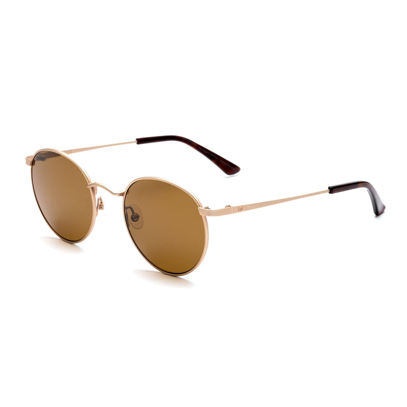 FLINT 134-2102 BRUSHED GOLD/BROWN LENS