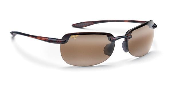408-10_sandy_bch_tort.jpg