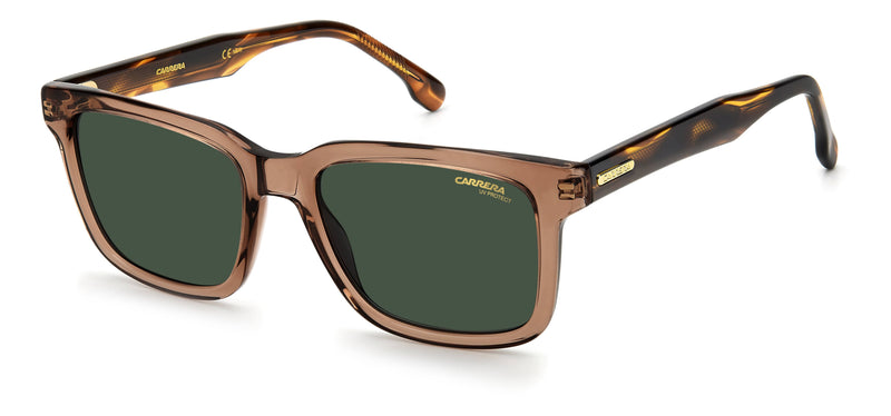 CARRERA 251/S 09Q TRANS BROWN