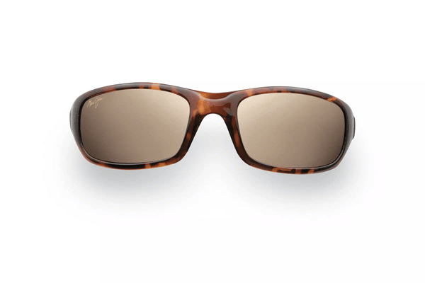 H103-10 stingray tortoise hcl bronze polarised