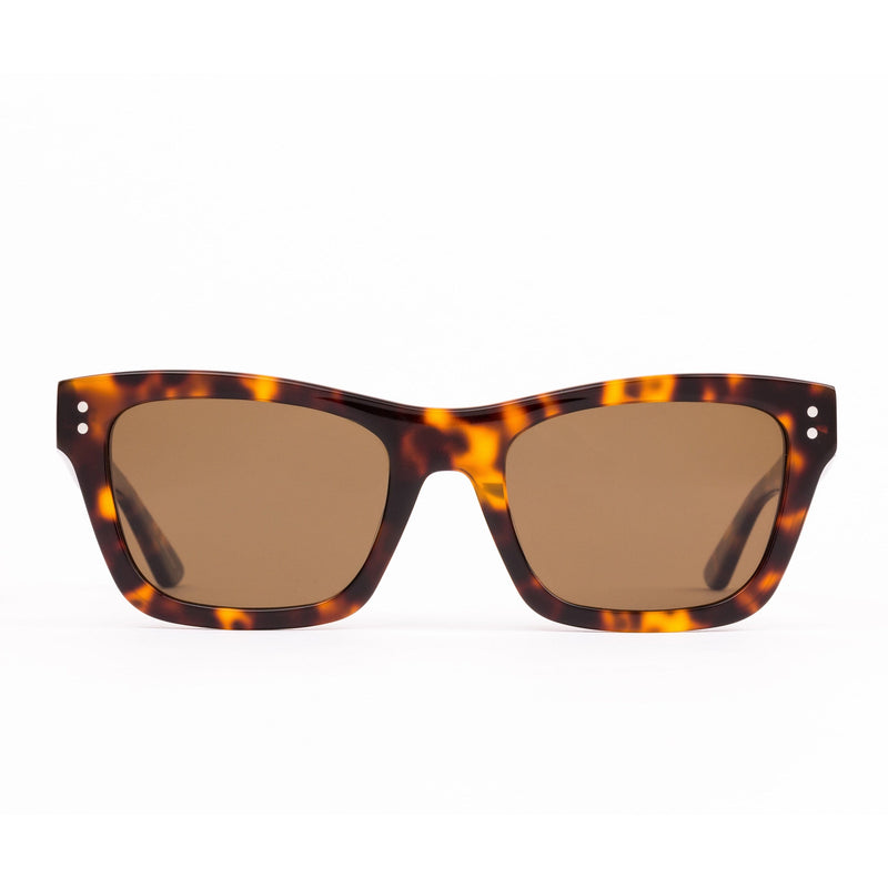 BREAK OF DAWN HONEY TORT/BROWN POLARISED LENS SUNGLASSES