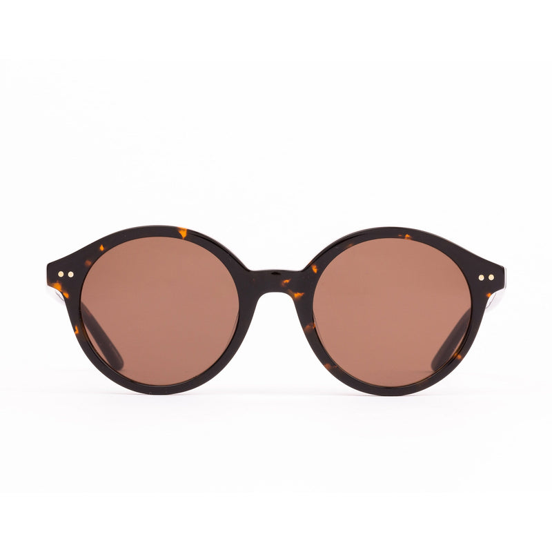 DIXON HAVANA/COFFEE LENS